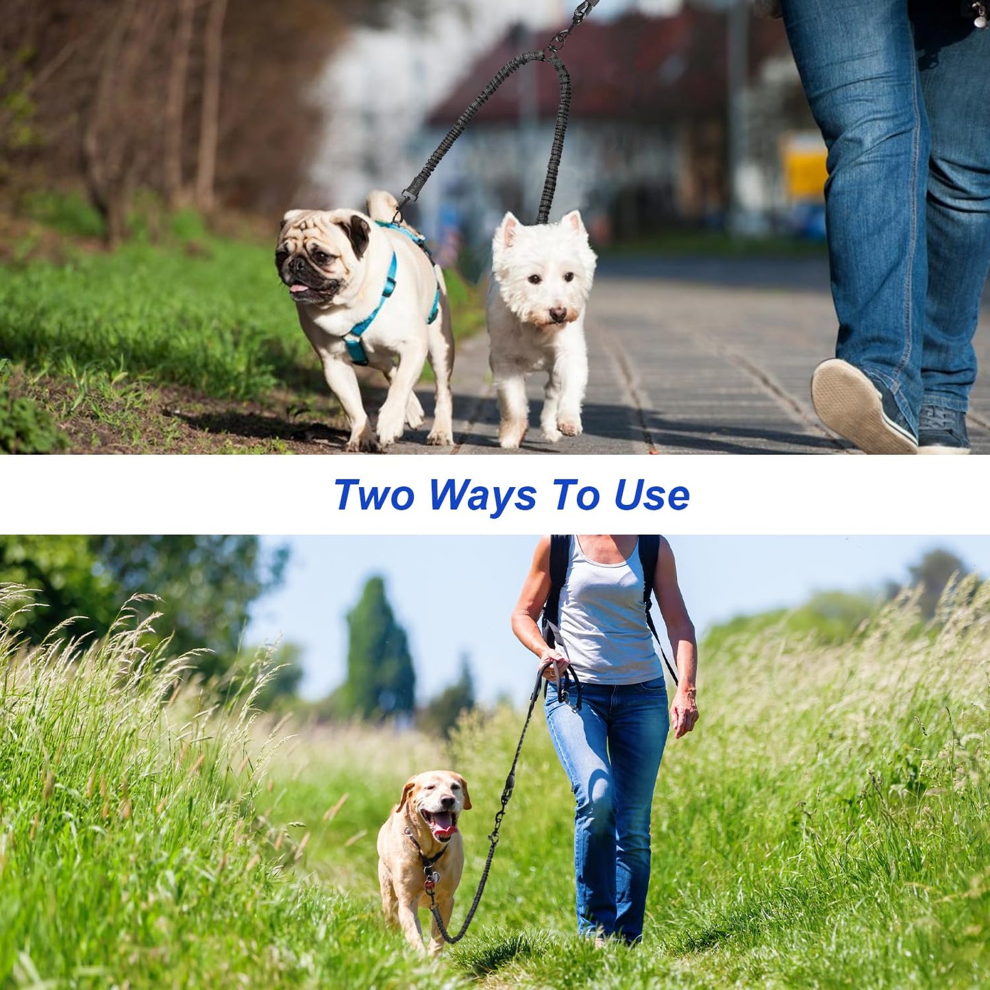 Dual Dog No Tangle Leash