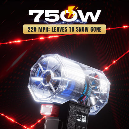 Electric Outdoor dusting and Car Washing Jet Cleaner High-Speed Turbo Fan